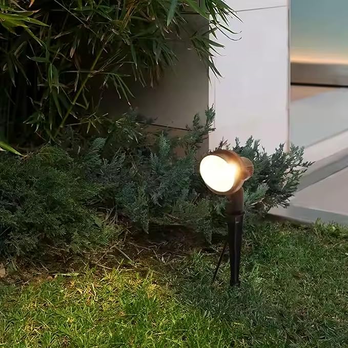 Light bulb